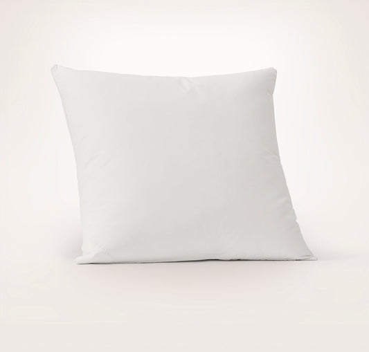 Feather Down Decorative Pillow Insert (22x22)
