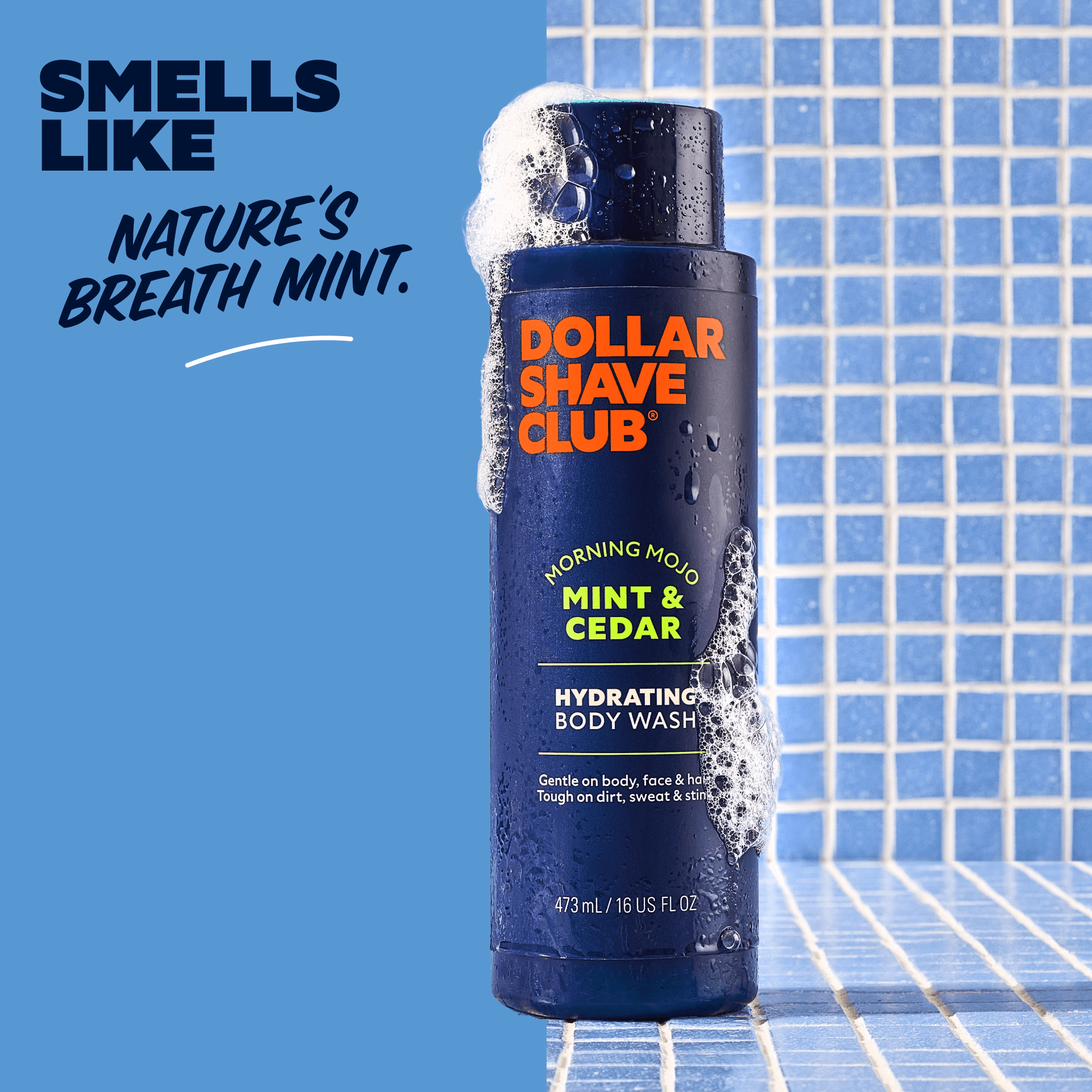 DTC_-_Body_Wash_-_Image_2a