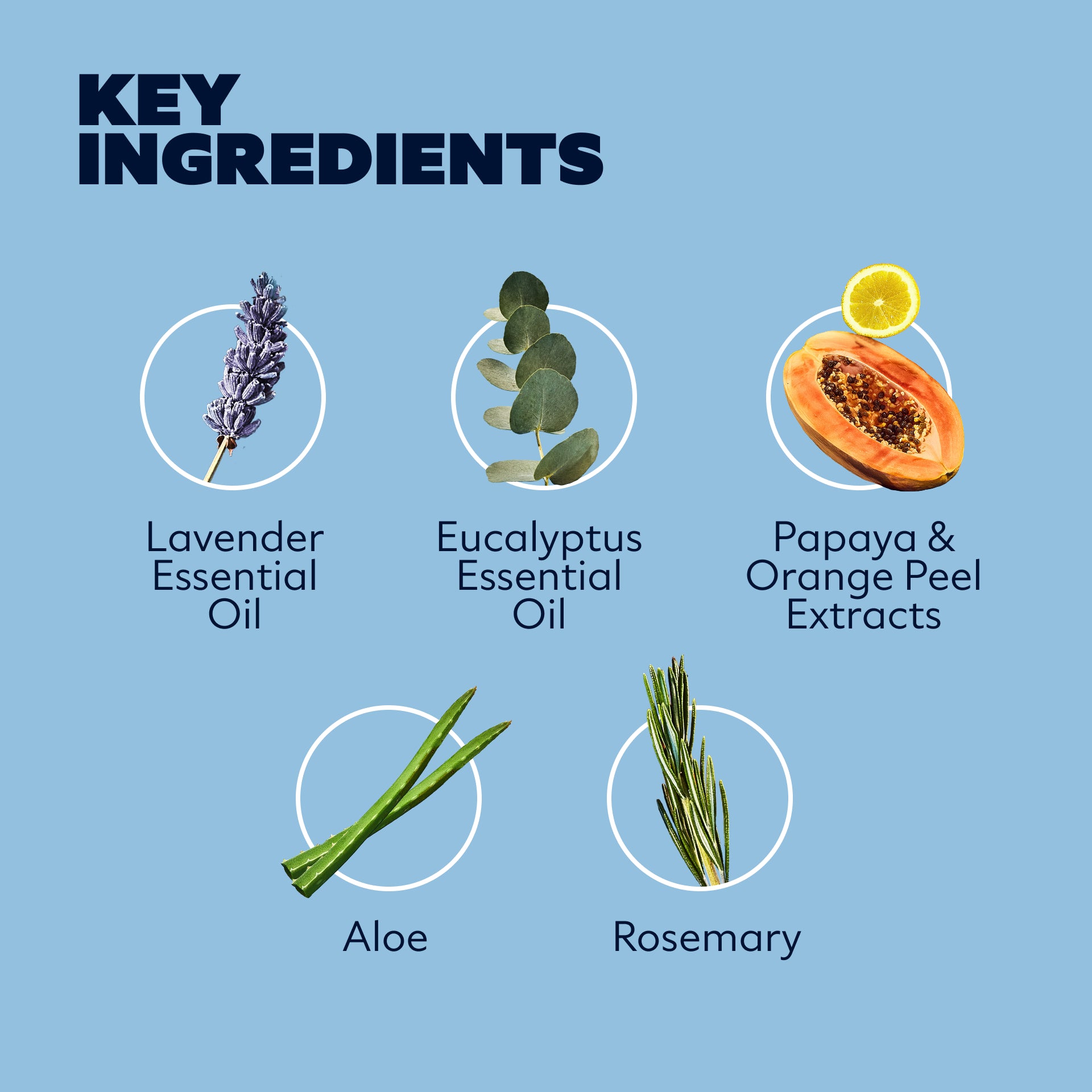 Shave_Butter_-_DTC_-_Image_3